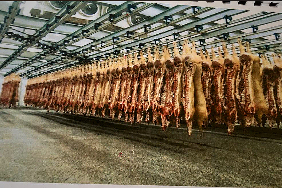 Activité Business 4